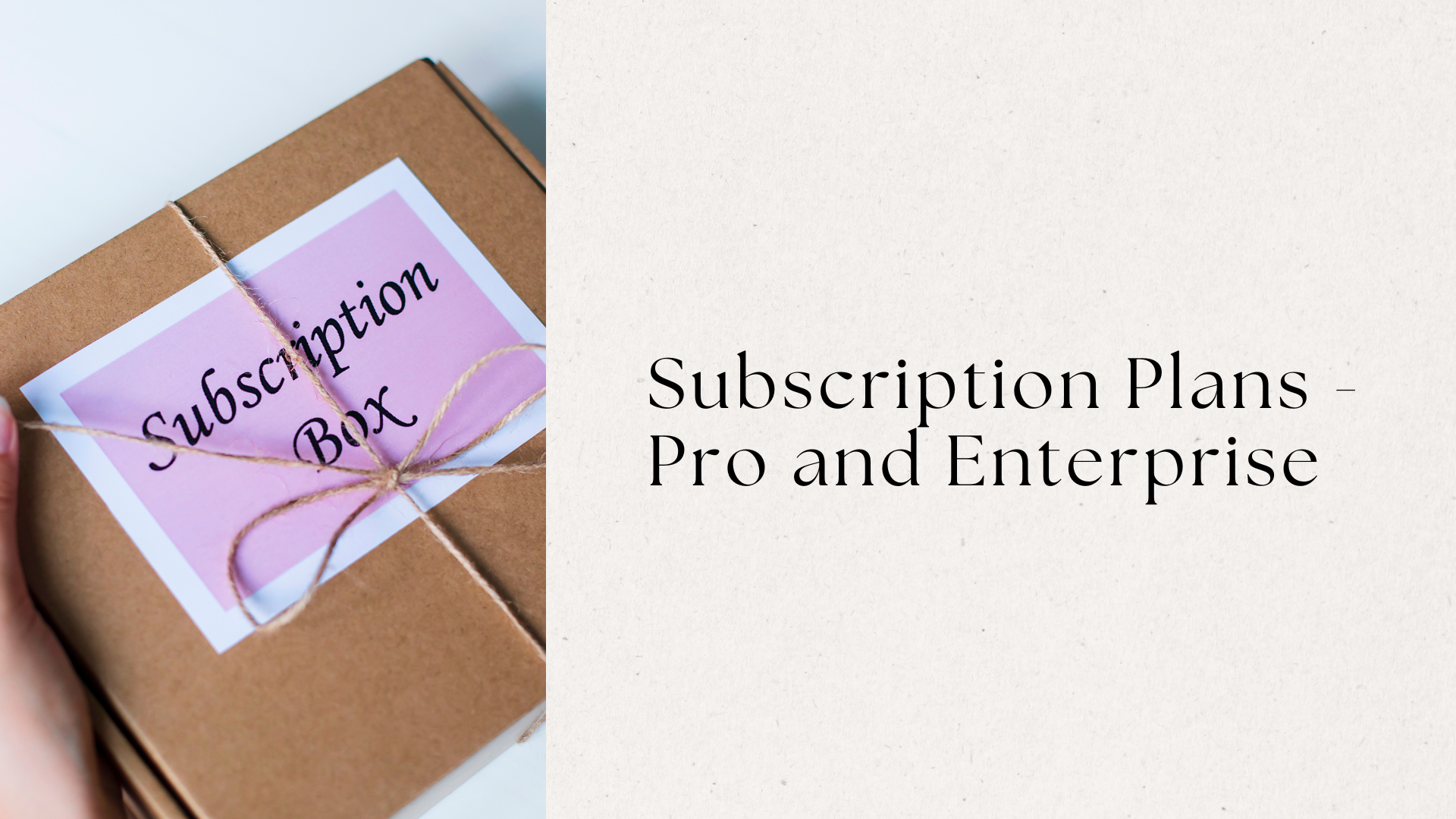 Subscription Plans - Pro and Enterprise