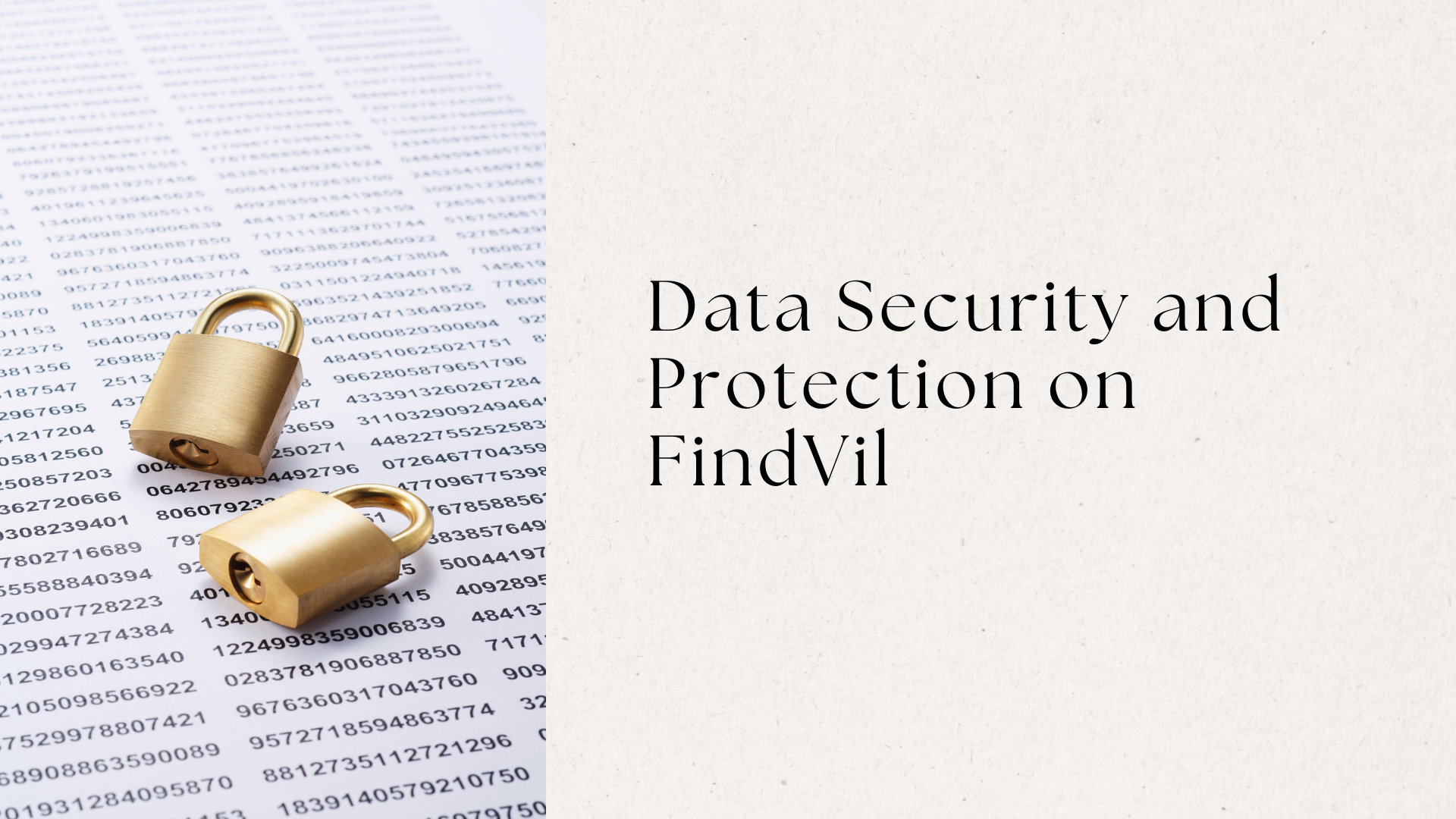 Data Security and Protection on FindVil